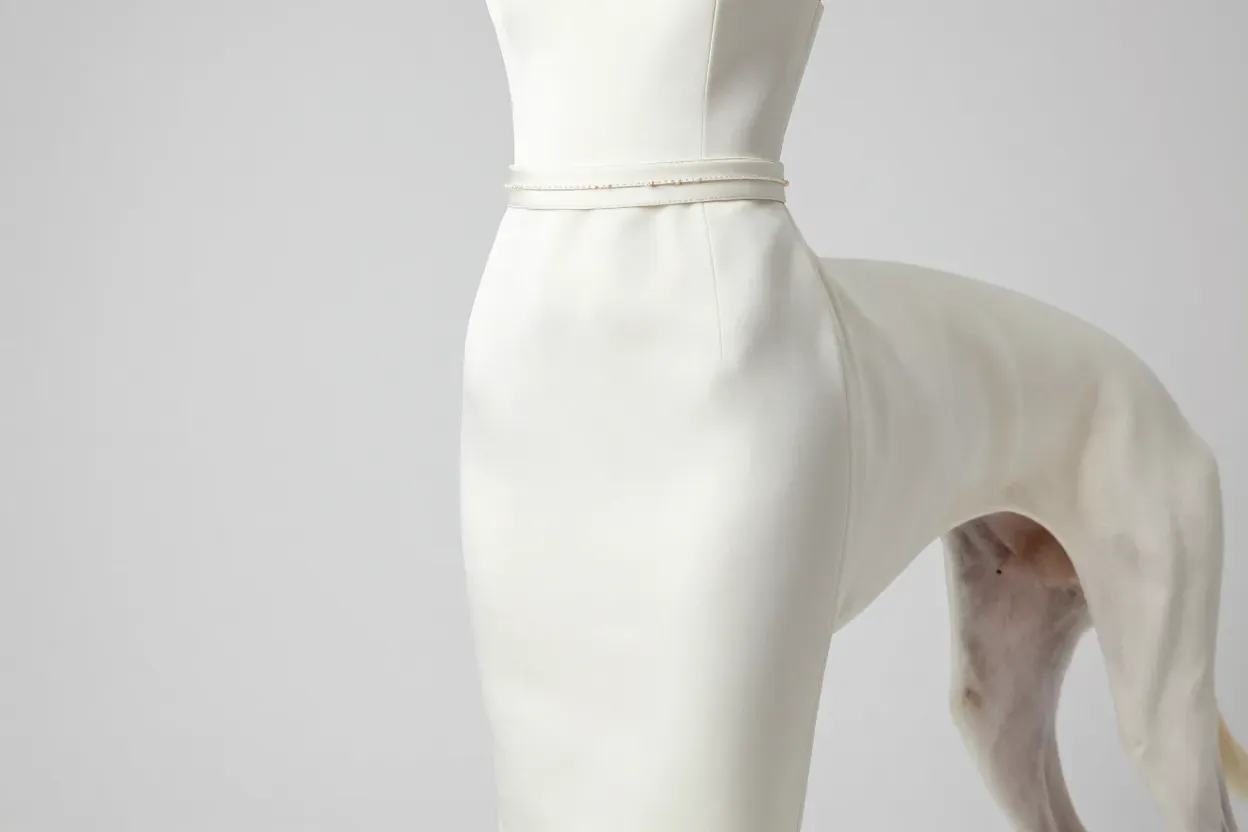 Greyhound in sleek satin sheath dress with beaded belt detail