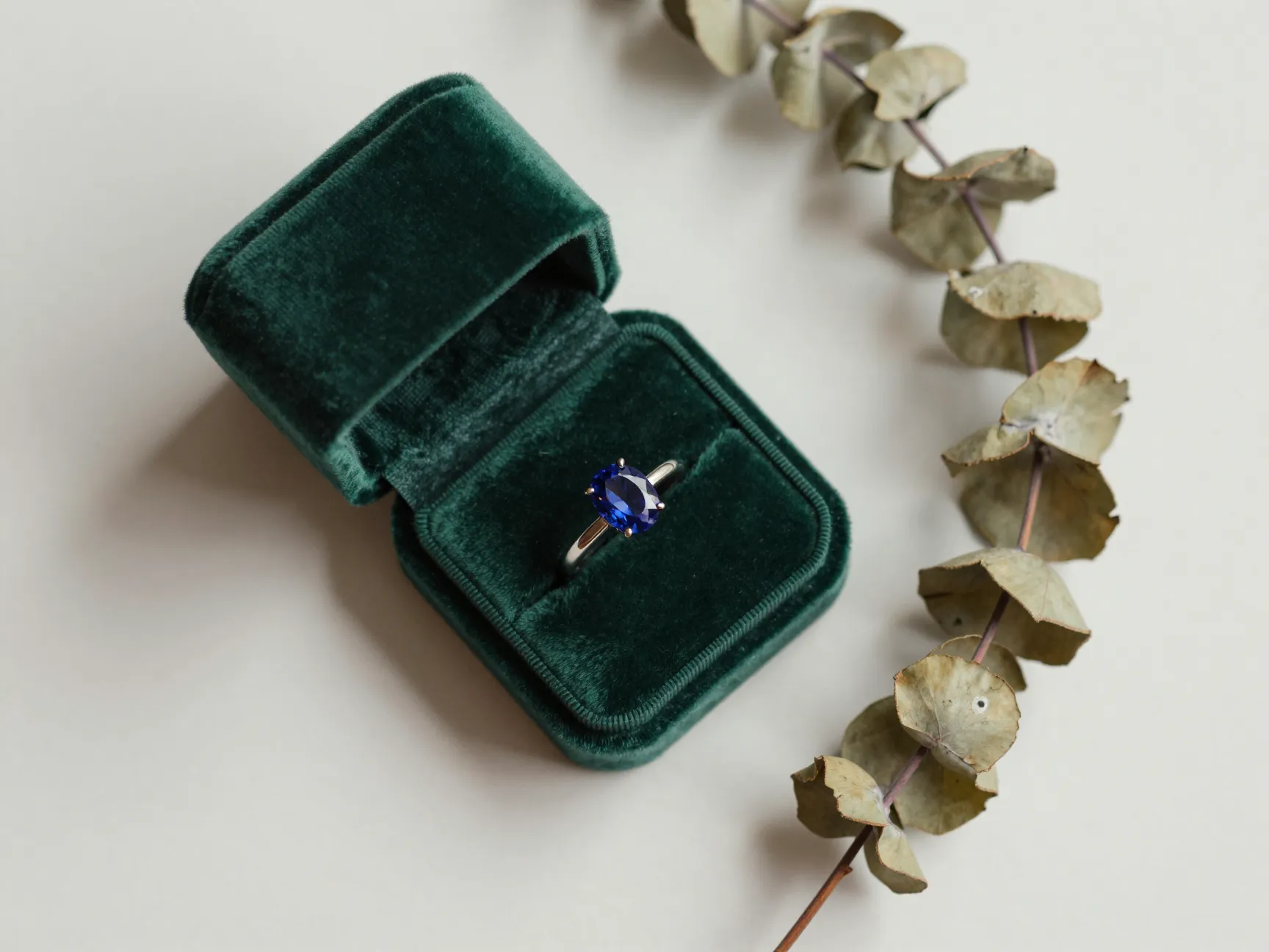 Engagement ring placed on a velvet box next to dried eucalyptus flowers