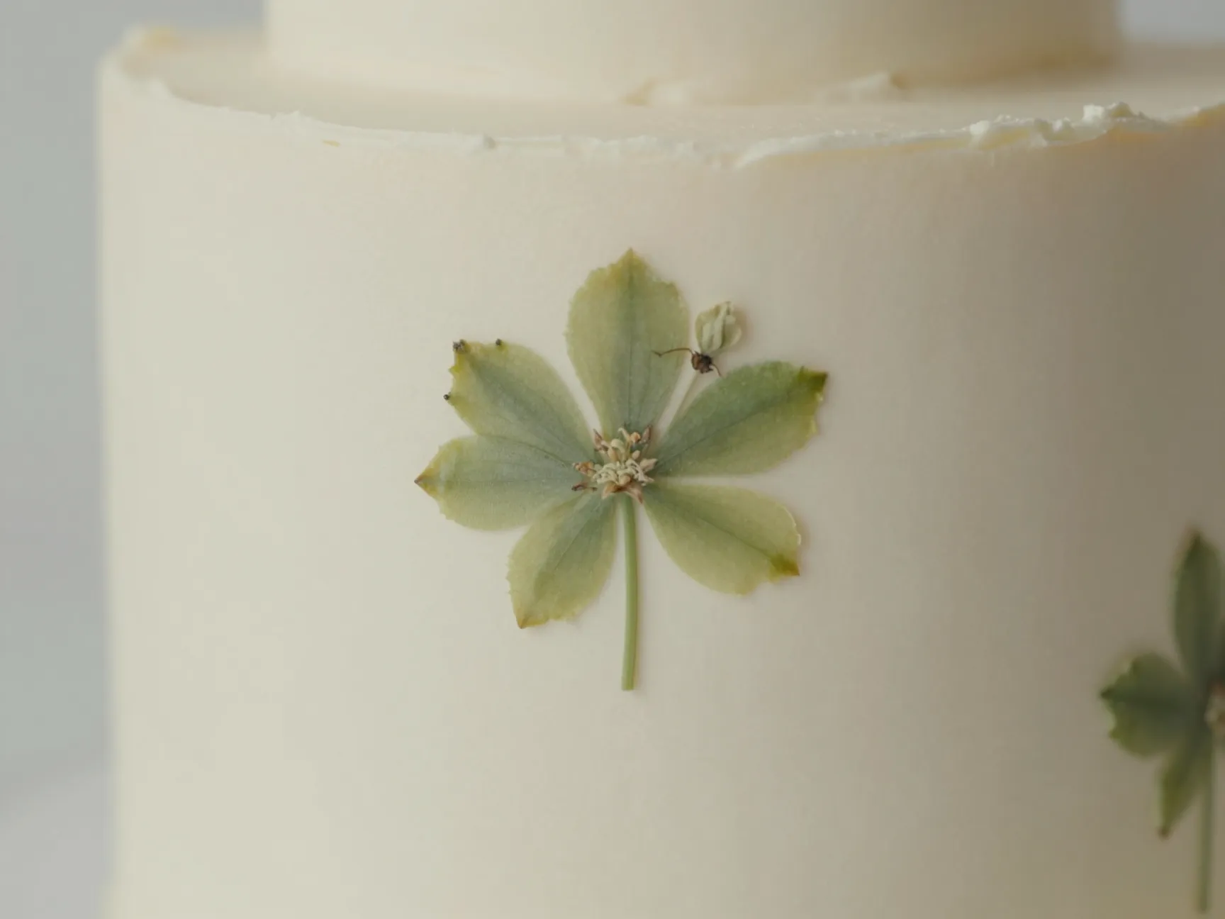 Simple cake with delicate pressed botanical embedded in smooth fondant