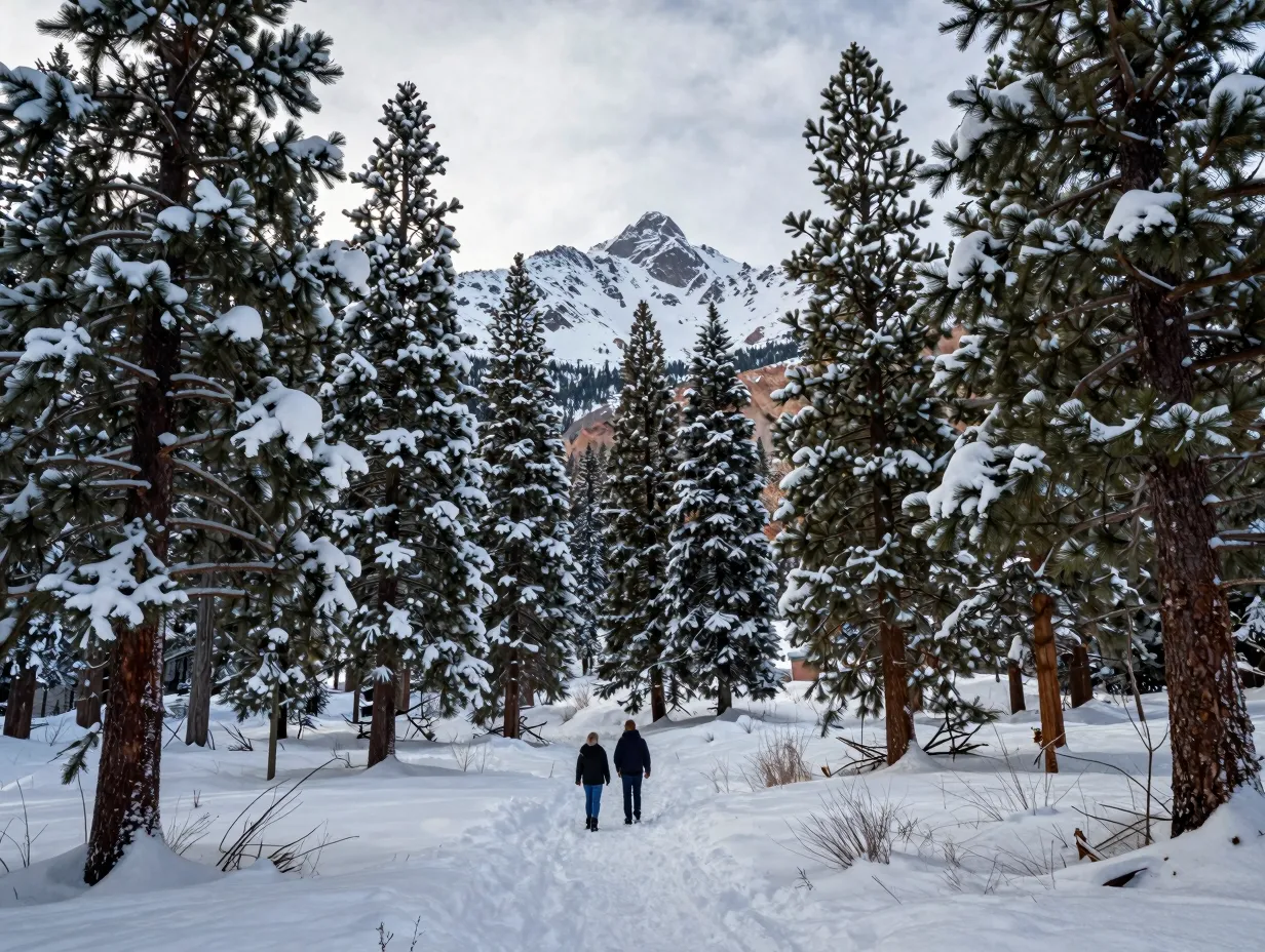 Mount charleston winter snow covered pine trees fairytale setting