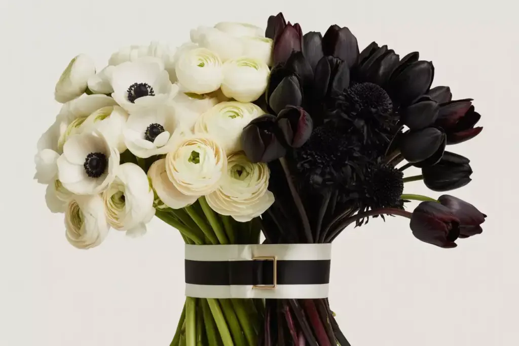 A bouquet of white and deep purple flowers tied with a black and white striped ribbon and buckle.