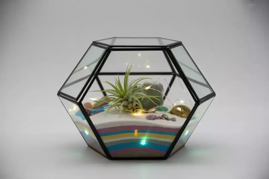 Modern geometric glass terrarium with air plants and led lights