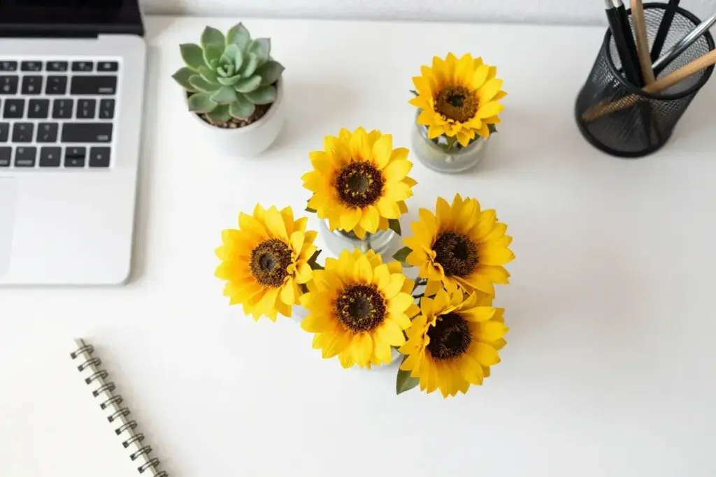 Petite sunflowers in small pot on home office desk with laptop
