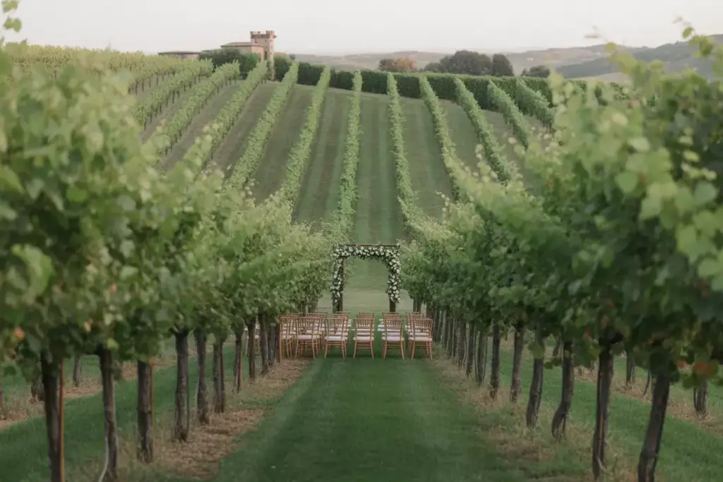 Vineyard wedding ceremony arch among rolling grapevine hills at sunset