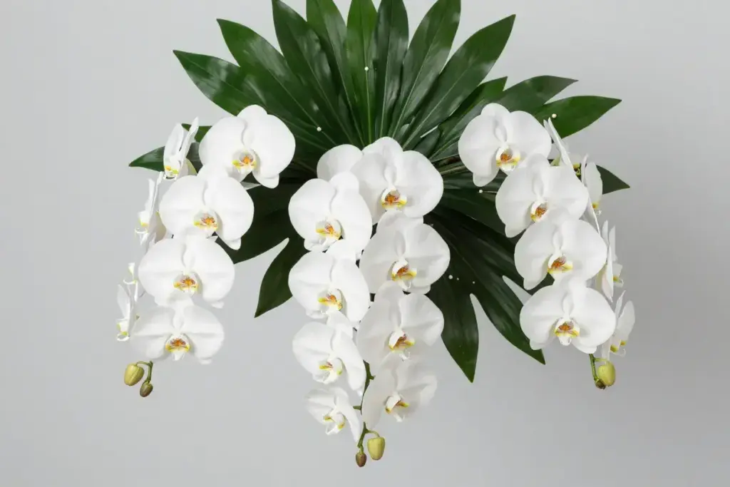 Elegant white orchid symphony modern minimalist bouquet