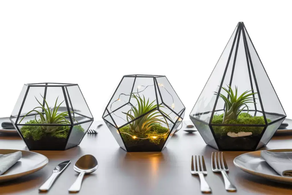 Modern geometric glass terrariums with air plants centerpiece