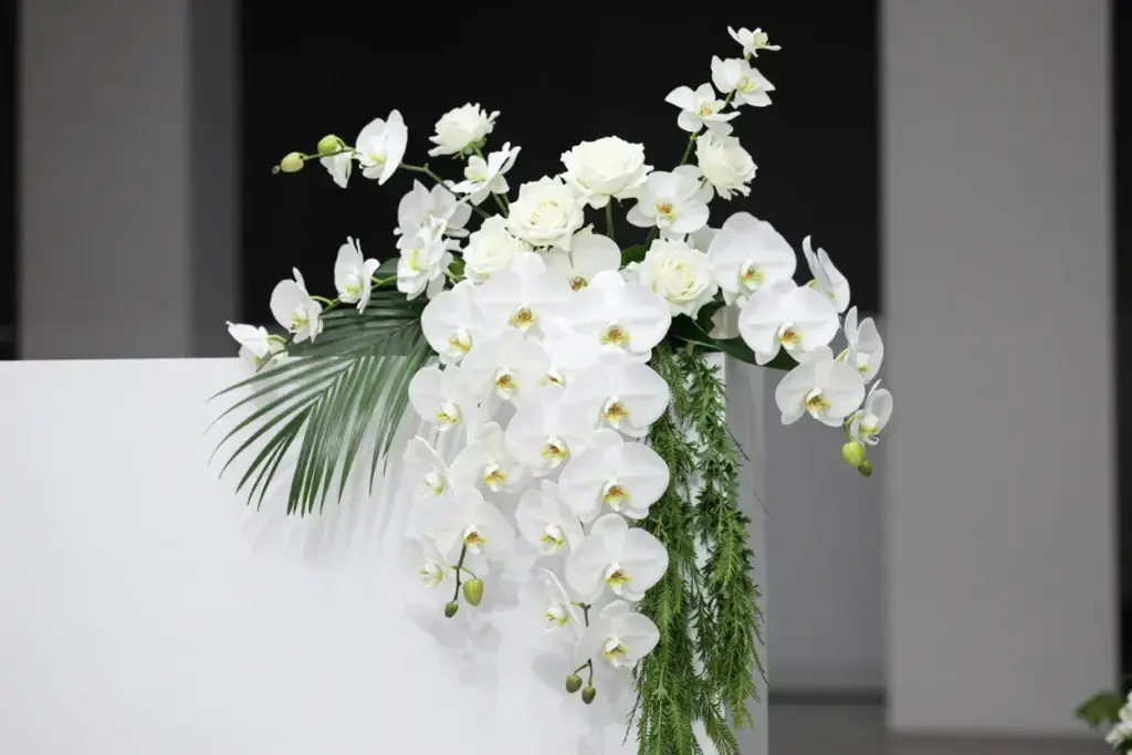 The sophisticated orchid waterfall with phalaenopsis and dendrobium