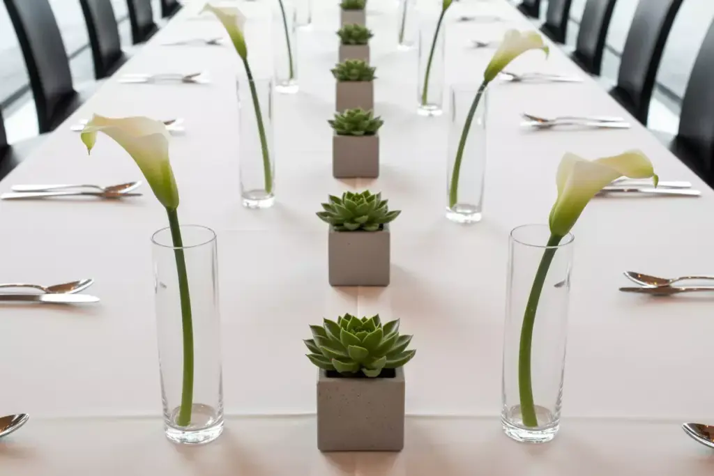 Concrete planters with succulents and single calla lily stems