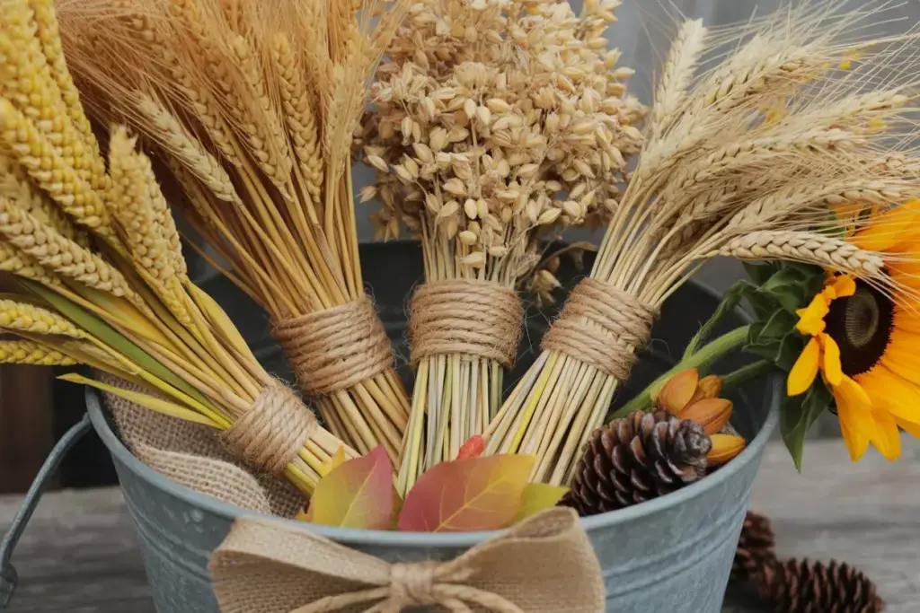 Golden wheat and barley bundles in galvanized bucket with sunflowers