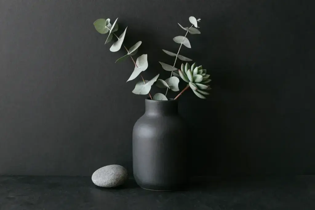 Matte black ceramic vase with eucalyptus succulents stones
