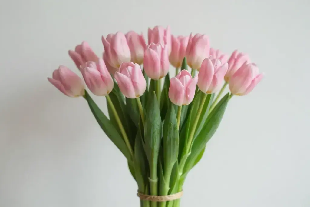 Casual blush tulip bouquet with natural twine binding