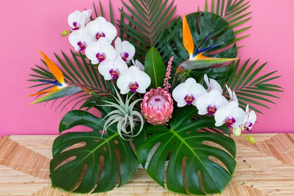 Tropical bouquet orchids protea monstera leaves air plants