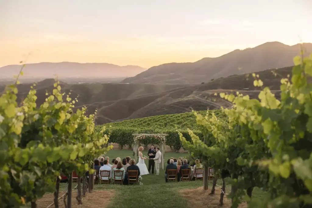 Wedding ceremony among grapevines with panoramic malibu hill views