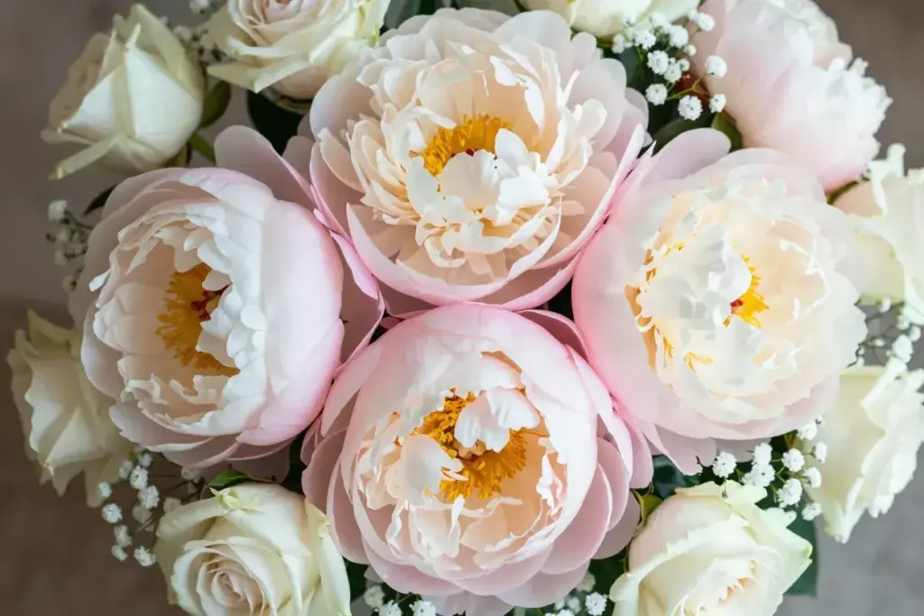 Lush pink and white peonies in a professional romantic floral arrangement