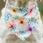 The 6 Best Dog Wedding Bandanas for a Picture-Perfect Pup