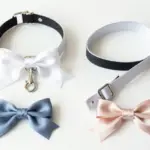 7 Beautiful Wedding Dog Leads and Leashes for a Secure Ceremony