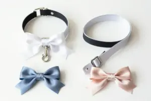 Read more about the article 7 Beautiful Wedding Dog Leads and Leashes for a Secure Ceremony