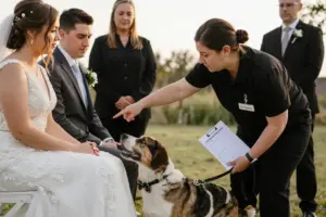 Read more about the article 6 Essential Tips for Having Pets at Your Wedding (Without the Stress)