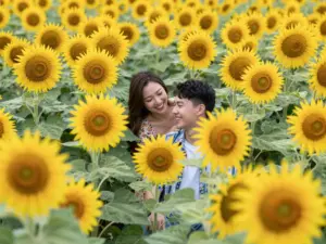 Read more about the article 9 Outdoor Engagement Photo Settings for a Naturally Romantic Shoot