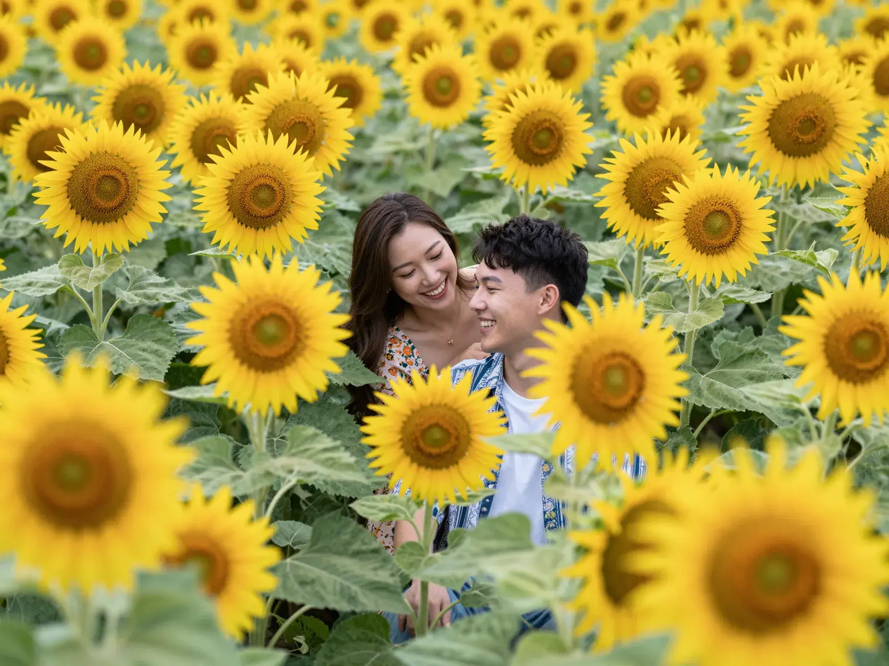 Read more about the article 9 Outdoor Engagement Photo Settings for a Naturally Romantic Shoot